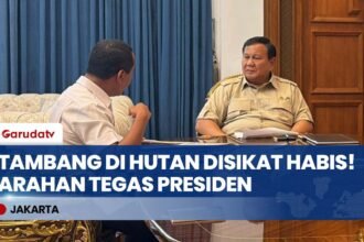 PRESIDEN TEGAS! Bahlil Lapor Hasil Bersih-bersih Tambang di Hutan, IUP Bermasalah Langsung Disikat!