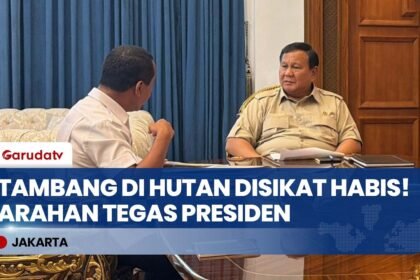 PRESIDEN TEGAS! Bahlil Lapor Hasil Bersih-bersih Tambang di Hutan, IUP Bermasalah Langsung Disikat!