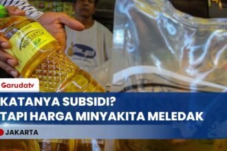 MINYAKITA HILANG! Rakyat Teriak Harga di Distributor Tembus 240 Ribu per Dus, Kok Bisa?