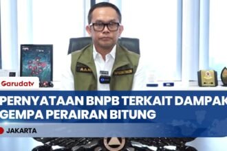 Update Gempa Sulawesi Utara: BNPB Laporkan Kerusakan Infrastruktur dan Korban Jiwa