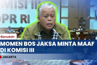Di Hadapan Komisi III DPR, Kajati Sumut Minta Maaf Atas Kegaduhan Kasus Amsal Sitepu