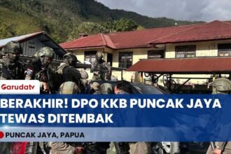 Satgas Cartenz Tembak M*i Anggota KKB di Puncak Jaya, Pelaku Penembak TNI!