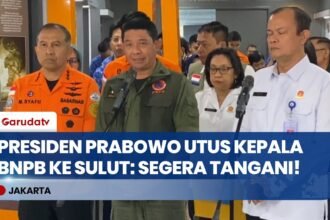 Instruksi Presiden Prabowo, Kepala BNPB Bertolak ke Lokasi Gempa Sulawesi Utara dan Maluku Utara