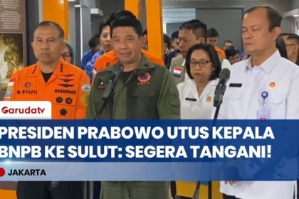 Instruksi Presiden Prabowo, Kepala BNPB Bertolak ke Lokasi Gempa Sulawesi Utara dan Maluku Utara