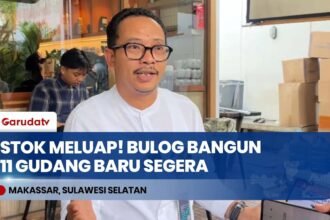 STOK BERAS MELIMPAH! Bulog Sulselbar Gaspol Bangun 11 Gudang Baru, Siap Amankan Pangan Nasional!