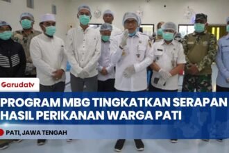 Hasil Perikanan Warga Pati Ludes Terserap, Harga Lele & Bandeng Meroket!