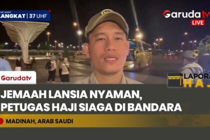 Intip Kesibukan Petugas Daker Bandara Madinah Sambut Jemaah, Lansia Jadi Prioritas Utama!