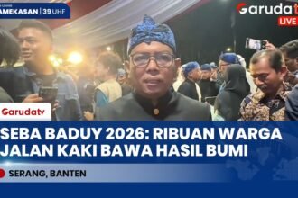 Seba Baduy 2026: Ribuan Warga Baduy Jalan Kaki Bawa Hasil Bumi ke Gedung Negara Banten