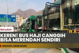 HAJI 2026 MAKIN MUDAH! Bus Shalawat Teknologi Hidrolik Siap Layani Jemaah Lansia & Disabilitas