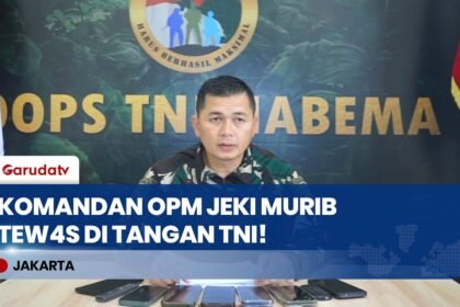 TAMAT! TNI Tembak Mati Jeki Murib, Komandan OPM Paling Dicari di Distrik Omukia Papua