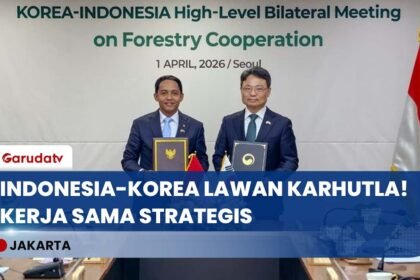 Kemenhut Gandeng Korea! Langkah Strategis Menteri Raja Juli Antoni Atasi Karhutla di Seoul!