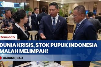 Dunia Krisis Pupuk, Indonesia Malah Ekspor! Wamentan Sudaryono: Stok Urea Aman Terkendali!