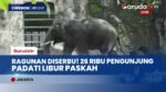 Serbu Ragunan! Ribuan Warga Padati Taman Margasatwa Rayakan Libur Paskah, Tiket Murah Jadi Incaran!