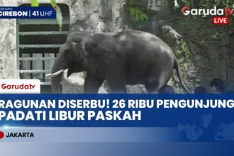 Serbu Ragunan! Ribuan Warga Padati Taman Margasatwa Rayakan Libur Paskah, Tiket Murah Jadi Incaran!