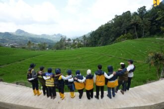 Kementerian PU Buka Rekrutmen TPM, P3TGAI 2026 Digelar di 12.000 Lokasi