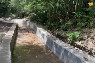 Kementerian PU Perkuat Produksi Pangan di Bali melalui Rehabilitasi Jaringan Irigasi