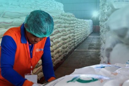 Cadangan beras Indonesia mencetak rekor tertinggi sepanjang sejarah, pemerintah optimistis mampu menghadapi El Nino ekstrem 2026.