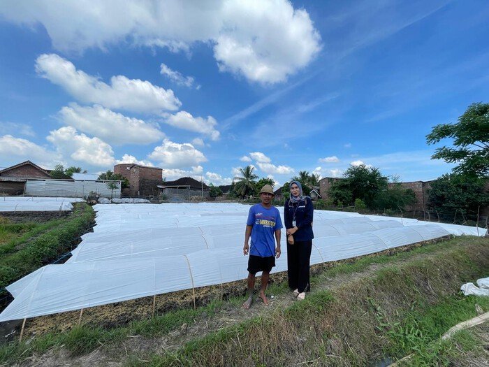 Kisah Inspiratif Mantri BRI di Lombok, Sosok Perempuan Berdaya Gerakkan Ekonomi Masyarakat Sekitar 4 Kisah Inspiratif Mantri BRI di Lombok, Sosok Perempuan Berdaya Gerakkan Ekonomi Masyarakat Sekitar