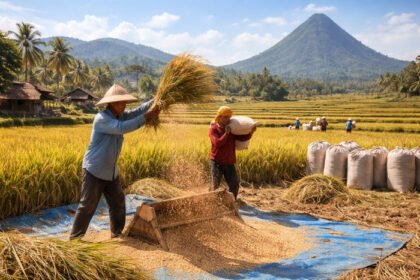 Kebijakan harga gabah di era Prabowo dorong kesejahteraan petani dan lonjakan stok beras nasional.