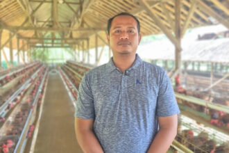 Program MBG dorong penyerapan penuh telur peternak lokal di Sukoharjo.