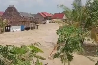 Banjir Demak 2026 meluas akibat tanggul Sungai Tuntang jebol, ribuan warga terpaksa mengungsi di berbagai titik darurat.
