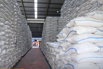 Stok beras nasional disebut mencapai level tinggi, HKTI optimistis swasembada semakin dekat.