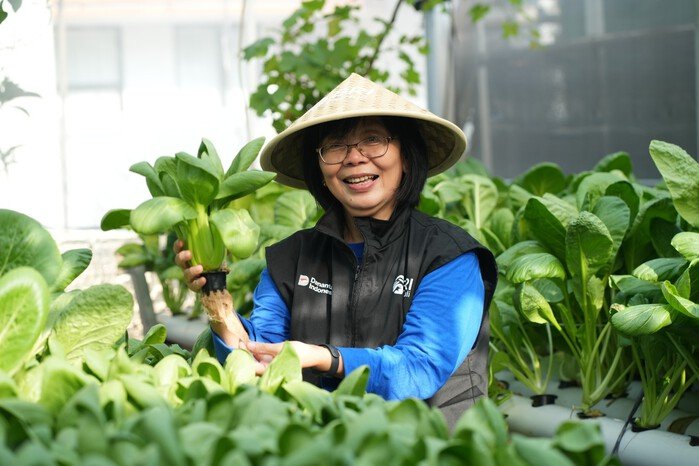 Perempuan Berdaya Lewat Program BRInita, Intip Kisah Inspiratif KWT Buaran Citra Lestari Manfaatkan Lahan Sempit 15 Perempuan Berdaya Lewat Program BRInita, Intip Kisah Inspiratif KWT Buaran Citra Lestari Manfaatkan Lahan Sempit