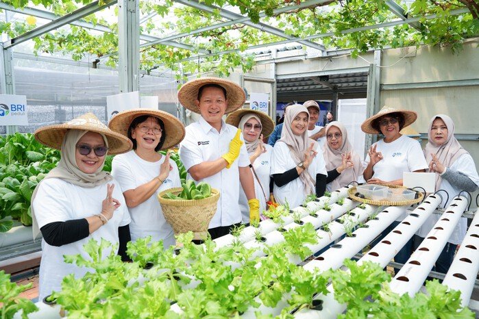Perempuan Berdaya Lewat Program BRInita, Intip Kisah Inspiratif KWT Buaran Citra Lestari Manfaatkan Lahan Sempit 14 Perempuan Berdaya Lewat Program BRInita, Intip Kisah Inspiratif KWT Buaran Citra Lestari Manfaatkan Lahan Sempit