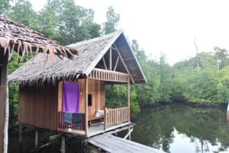 Program CSR Pertamina di Kampung Waifoi, Raja Ampat, mendorong ekowisata berbasis masyarakat melalui pengelolaan homestay berkelanjutan.