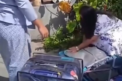 Rombongan Turis India di Ubud Tertangkap Basah Curi Handuk Hingga Hair Dryer Saat Check-Out