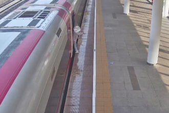 Barang Ketinggalan, Penumpang Whoosh Nekat Tahan Pintu Bikin Jadwal Berantakan