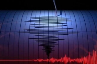 Gempa M 5,2 Guncang Jember, BMKG Pastikan Tak Berpotensi Tsunami