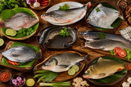 Ikan Air Tawar dengan Kandungan Gizi Tinggi dan Harga Terjangkau