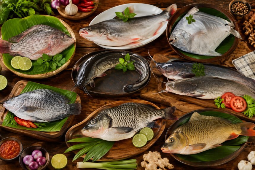 Ikan Air Tawar dengan Kandungan Gizi Tinggi dan Harga Terjangkau