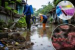 Leptospirosis Meningkat di Jawa Timur
