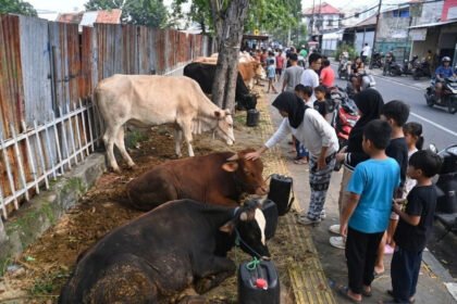 Pedagang Hewan Kurban di Trotoar Jakarta Ditertibkan