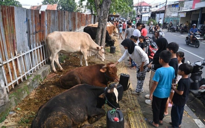 Pedagang Hewan Kurban di Trotoar Jakarta Ditertibkan