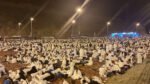 Ribuan Jemaah Haji Panjatkan Doa Sapu Jagad & Doa Rasulullah Saat Mabit di Muzdalifah