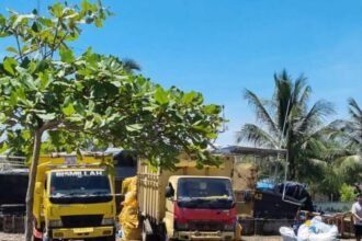 TNI AL Bongkar Jalur Penyelundupan, Ballpress hingga Satwa Langka Disita