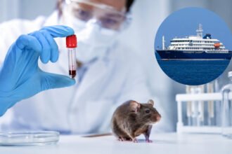 Wabah Hantavirus