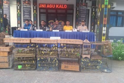 TNI AL Kian Agresif Berantas Penyelundupan Satwa Lindung hingga Rokok Ilegal