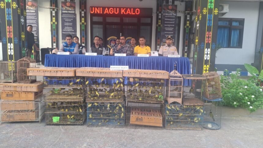 TNI AL Kian Agresif Berantas Penyelundupan Satwa Lindung hingga Rokok Ilegal