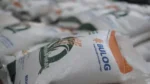 Borong 500 Ribu Ton Beras RI, Malaysia Tawar Rp16.000 per Kilo ke Bulog