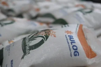 Borong 500 Ribu Ton Beras RI, Malaysia Tawar Rp16.000 per Kilo ke Bulog