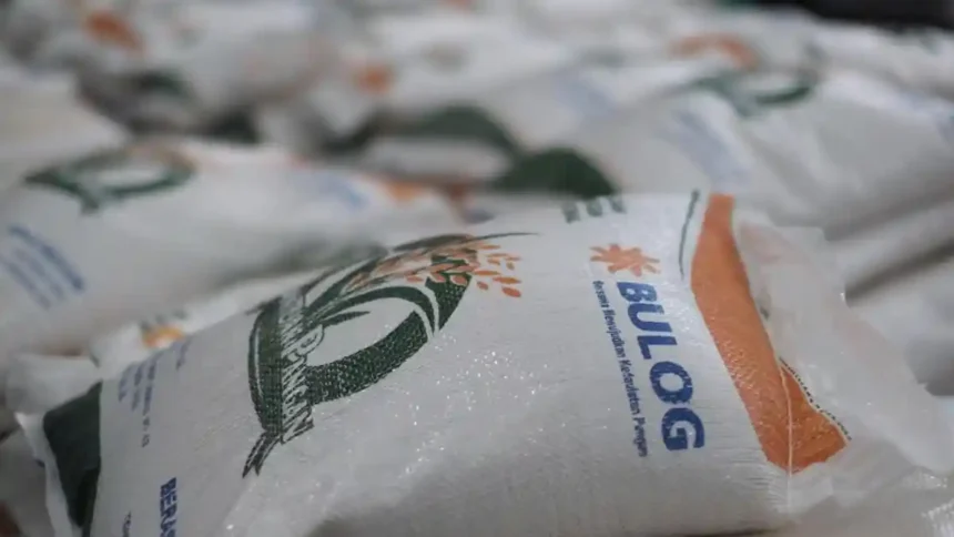 Borong 500 Ribu Ton Beras RI, Malaysia Tawar Rp16.000 per Kilo ke Bulog