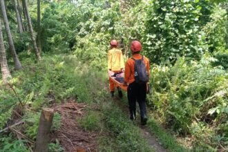 Dua Pendaki Singapura Tewas Terjebak Erupsi Dahsyat Gunung Dukono, Satu Pendaki Hilang