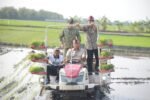 Stok Beras RI Tembus 28 Juta Ton, Wamentan Sudaryono Kebut Tanam 750 Hektar Padi di Lamongan Hadapi El Nino