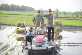 Stok Beras RI Tembus 28 Juta Ton, Wamentan Sudaryono Kebut Tanam 750 Hektar Padi di Lamongan Hadapi El Nino