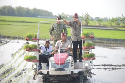 Stok Beras RI Tembus 28 Juta Ton, Wamentan Sudaryono Kebut Tanam 750 Hektar Padi di Lamongan Hadapi El Nino