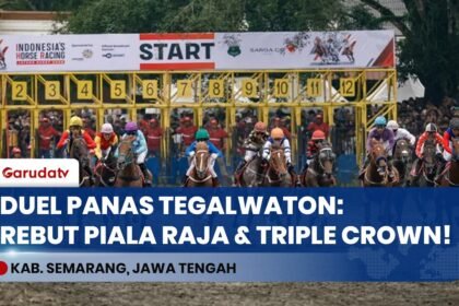 147 Kuda Terbaik Nusantara Serbu Arena Tegalwaton demi Gelar Raja Mangkunegaran & Triple Crown!